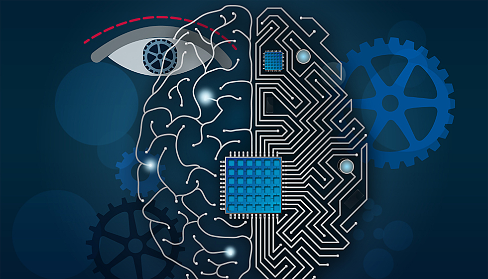 Provigil vs Adderall: Which One to Choose? | Nootrilab